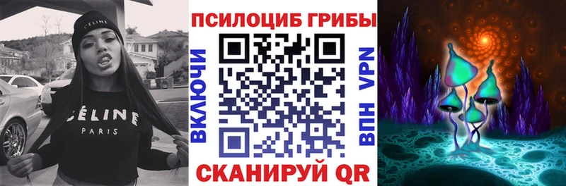 ссылка на мегу маркетплейс  Тавда  Псилоцибиновые грибы Psilocybe 